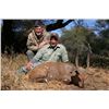 Image 7 : 7 Day South African Spiral Horn Hunt for two Hunters