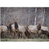 Image 1 : 3 Day Premium Guided Cow Elk Hunt on Vermejo Park Ranch for 1 hunter & 1 non-hunter