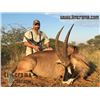Image 7 : 10 Day Ultimate Plains Game/Dangerous Game safari for 4 Hunters, Includes trophy fees for 7 animals