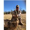 Image 1 : 5 Day Guided Whitetail Deer on Colorado’s Eastern Plains