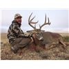 Image 4 : 5 Day Guided Whitetail Deer on Colorado’s Eastern Plains