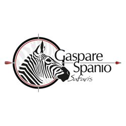 Golden Wildebeest and Blue Wildebeest for two hunters 7-day Safari