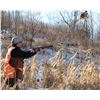 Image 5 : Pheasant Hunt for 4 Hunters and 4 Non-Hunters Includes 100 Birds