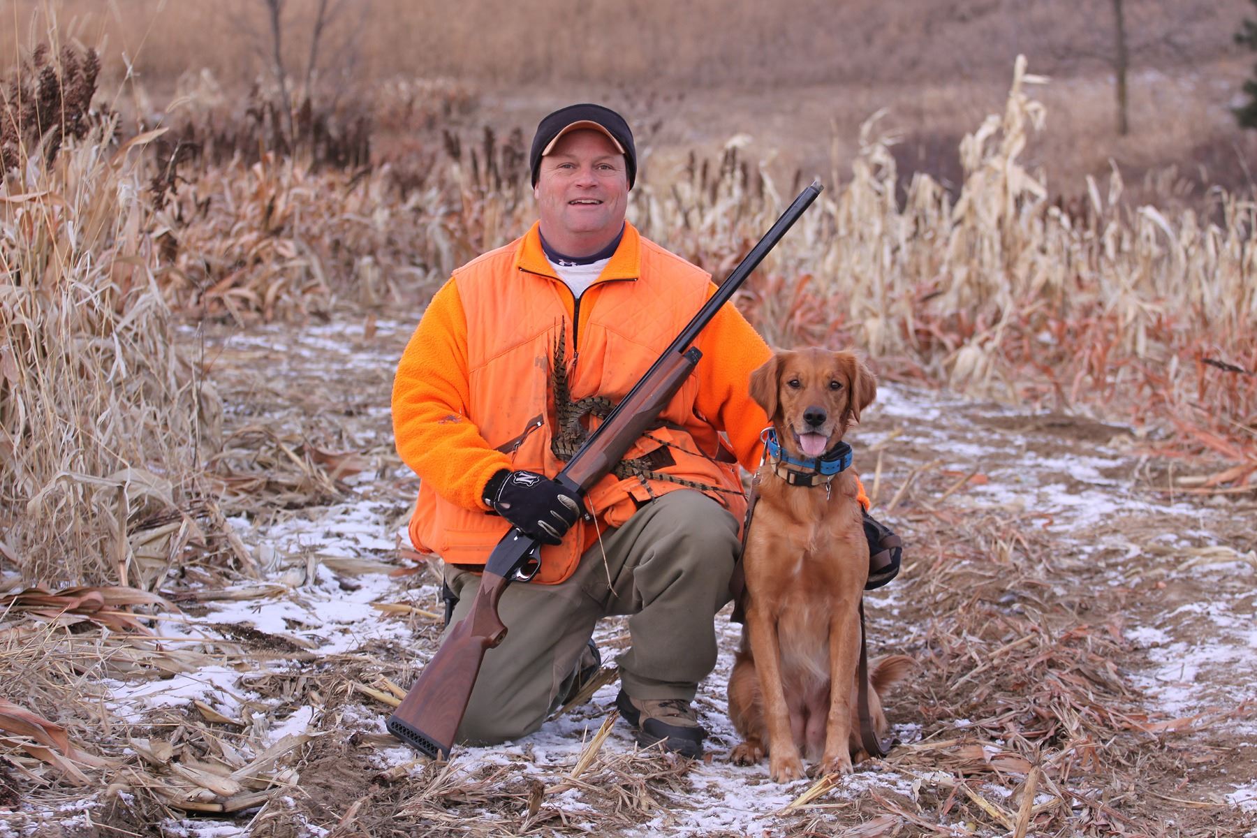 Pheasant Hunt for 4 Hunters and 4 NonHunters Includes 100 Birds