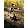 Image 2 :  Trophy Bull Elk or Trophy Mule Deer or Coues white tailed Deer in New Mexico:Winning Bidders Choice