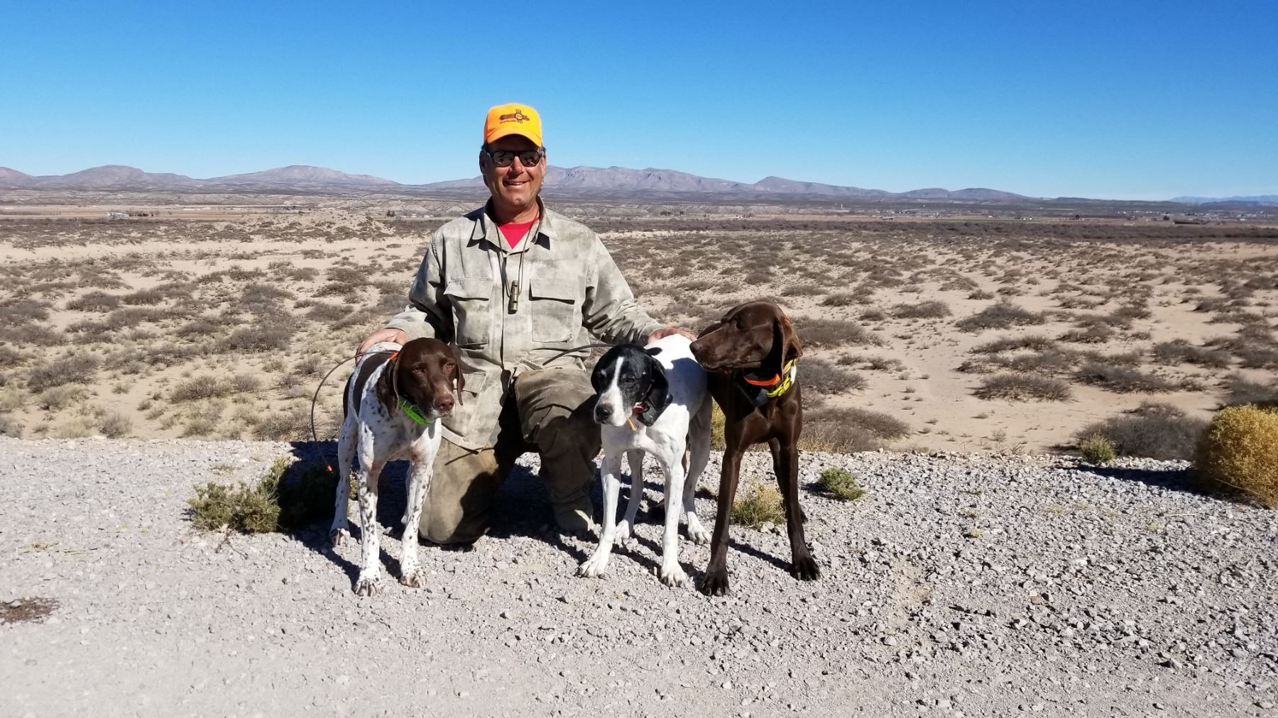 Wild quail hunt for 2 Full Days of Hunting for 1 hunter SW New Mexico