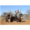 Image 6 : 7 day, Trophy Sable Safari for two hunters and two observers, includes Trophy fees for two Sables
