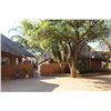 Image 7 : 7 day, Trophy Sable Safari for two hunters and two observers, includes Trophy fees for two Sables