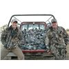 Image 12 : 6 Day Red Stag, Black Buck Antelope and Dove hunt in Argentina for Two Hunters