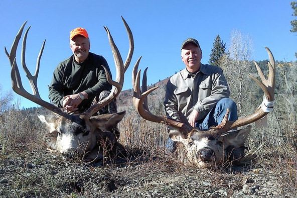 Mule Deer Hunt In Colorado Unit S 77 78 771 For 1 Hunter Non Guided Do It Yourself Hunt