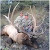 Image 1 : 2019 New Mexico Statewide Elk Tag