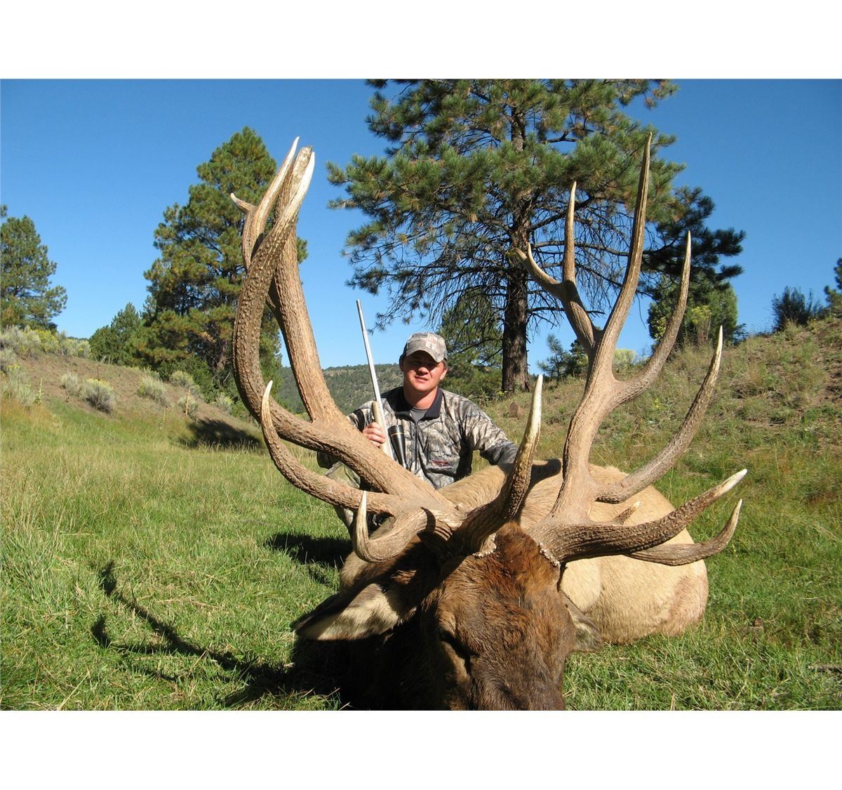 2019 New Mexico Statewide Elk Tag