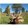 Image 4 : 2019 New Mexico Statewide Elk Tag