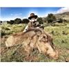 Image 3 : 5 Day all-inclusive hunting safari with Thaba-Tala Safaris