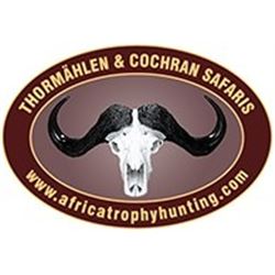 Springbuck & Gemsbok African Safari with Peter Thormahlen of Thormahlen & Cochran Safaris