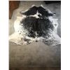 Image 2 : Tanned Longhorn Hide Black & White markings