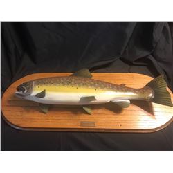 Hand Carved Wooden Fish Wall Mount