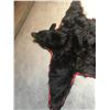 Image 2 : Black Bear Rug with Felt Backing Open Mouth with Full Claws