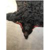 Image 3 : Black Bear Rug with Felt Backing Open Mouth with Full Claws