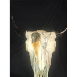 Painted Buffalo Bleached Skull