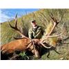 Image 5 : New Zealand Hunters Choice with Four Seasons Safaris