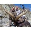 Image 3 : 5 Day Amazing Spanish Hunt for 1 Hunter: Includes a $2,000.00 Credit
