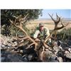 Image 4 : 5 Day Amazing Spanish Hunt for 1 Hunter: Includes a $2,000.00 Credit