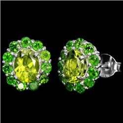 Natural Green Peridot & Chrome Diopside EARRINGS