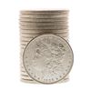 Image 1 : Roll of (20) Brilliant Uncirculated 1902-O $1 Morgan Silver Dollar Coins