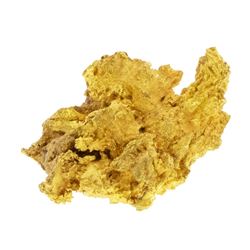 13.05 Gram Gold Nugget