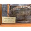 Image 2 : REAL VINTAGE FOOTBALL IN GLASS DISPLAY CASE