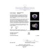 Image 5 : 6.82 ctw Tanzanite and Diamond Ring - 14KT White Gold