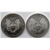 Image 2 : 2003 & 2009 AMERICAN SILVER EAGLES