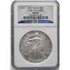 Image 1 : 2010 AM SILVER EAGLE NGC MS 69