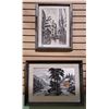Image 1 : 2 FRAMED PICTURES