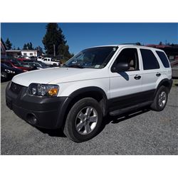 G6 --  2005 FORD ESCAPE XLT , White , 135791  KM's