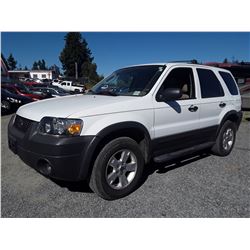 G6 --  2005 FORD ESCAPE XLT , White , 135791  KM's