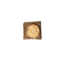 2015 Polar Bear and Cubs Coin