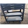 Image 3 : TOOL TROLLEY (METAL WITH 3 DRAWERS)