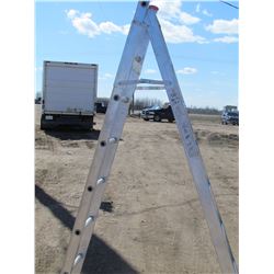 EXTENSION LADDER (12')