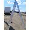 Image 1 : EXTENSION LADDER (12')