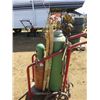 Image 4 : ACETYLENE TORCH SET (COMPLETE WITH TANKS AND CART)