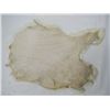 Image 4 : 2 WHITE RABBIT FURS