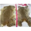 Image 2 : 2 BROWN RABBIT FURS
