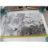 Image 2 : PRINT (NOT A LONE) *NOT FRAMED* (SIGNED)