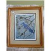 Image 1 : FRAMED LIMITED EDITION PRINT (DAVE HIEBERT) *BLUEJAY AND JACKPINE #131*