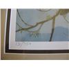 Image 5 : FRAMED LIMITED EDITION PRINT (DAVE HIEBERT) *BLUEJAY AND JACKPINE #131*