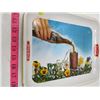 Image 2 : COCA-COLA "CUP OF POP AND FLOWERS" TRAY