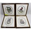 Image 1 : 4 PIECE FRAMED ART THE BIRDS OF NEW ZEALAND,