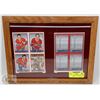 Image 1 : VINTAGE OPEE-CHEE HOCKEY CARD IN  A FRAME